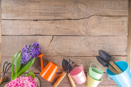 Spring Gardening concept. Gardening tools, herbs and plants on rustic outdoor wooden table. Spring outdoor garden works concept.の写真素材