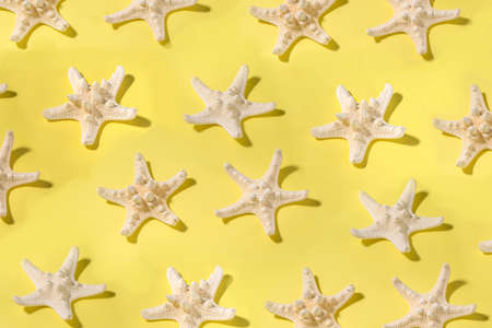 Summer pattern background with starfish on trend yellow background, with hard light dark shadowsの写真素材