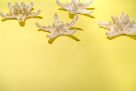 Summer pattern background with starfish on trend yellow background, with hard light dark shadows