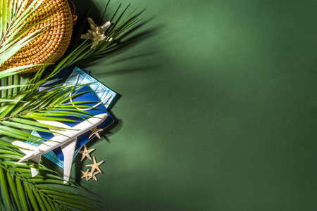 Toy airplane, tropical vacation decor and face medical mask on green background. Travel during the  pandemic concept.  immunization passport cardの写真素材
