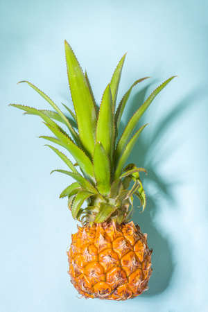Ripe pineapple flat lay on blue background, with modern hard light, top view copy space,の写真素材