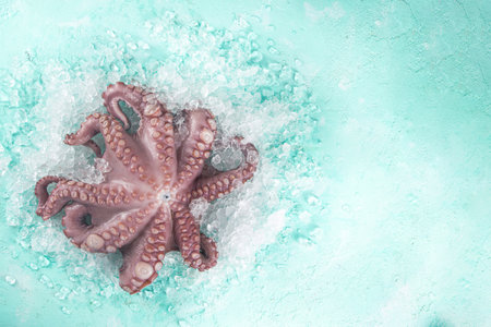 Set of various fresh raw seafood - octopus, crab, squid, shrimp prawn, oyster, mussels, salmon tuna dorada fish with spices of herbs lemon, light blue background with crushed ice copy space top viewの写真素材