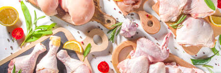 Various raw chicken meat portions. Set of uncooked chicken fillet, thigh, wings, strips and legs on white cooking table background with spicesの写真素材