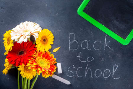Back to school. Teachers day greeting card. Autumn colors red yellow orange gerbera flowers bouquet with chalk on black chalkboard background copy space for textの写真素材