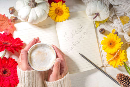 Cozy autumn background with hot coffee latte mug in woman hands, with notepad, pumpkins, gerbera...