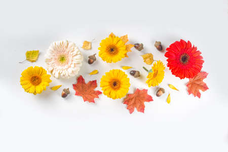 Autumn theme concept. Flat lay composition with colorful flowers, red yellow leaves, white pumpkins...