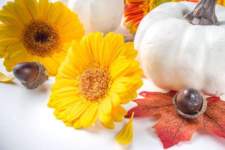 Autumn theme concept. Flat lay composition with colorful flowers, red yellow leaves, white pumpkins...