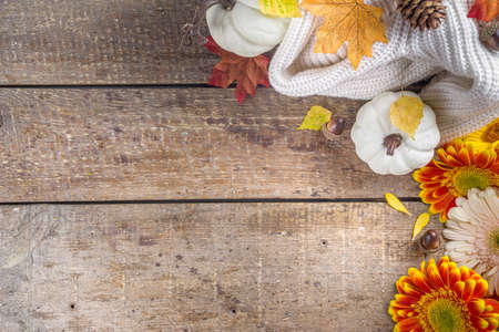 Cozy autumn background with with colorful flowers, red yellow leaves, white pumpkins and warm plaid, sweater on rustic wooden background. Fall, thanksgiving day concept. Flat lay, top view, copy spaceの写真素材