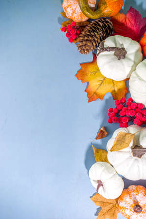 Thanksgiving day, Halloween festive greeting card with pumpkins, decorative berries and autumn leaves on turquoise blue table copy space. Fall holiday flat lay copy spaceの写真素材