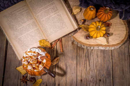 Autumn, winter drink for Christmas, Thanksgiving, Halloween. Funny cup of spicy pumpkin latte, hot chocolate, with whipped cream, marshmallow, spices with book, warm plaid and decorationの写真素材