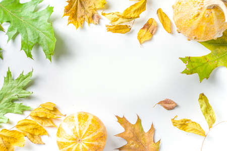 Simple Autumn leaf flatlay, colorful fall dried leaves and pumpkins on white background, top view frame border. Autumn creative composition.の写真素材