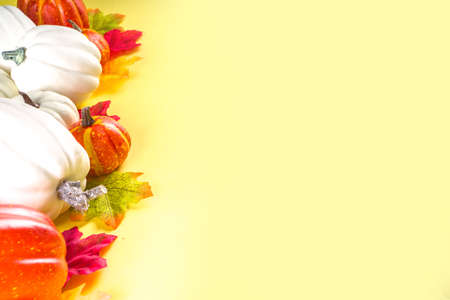 Festive thanksgiving day holiday background. White orange pumpkins, colorful autumn leaves, berries,...