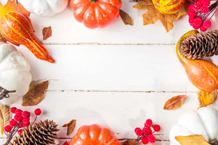 Thanksgiving day, Halloween festive geetiing card with pumpkins, decorative berries and autumn leaves on white wooden table copy space. Fall holiday flatlay copy spaceの写真素材