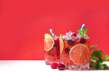 Autumn winter cranberry cocktail, cranberry mojito with lime, crushed ice, int rosemaryの写真素材