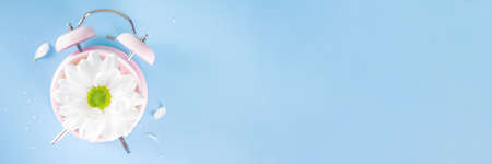 Spring Time Change flatlay. Summer back concept. Retro Vintage alarm Clock with fresh, beautiful white spring daisy flower on pastel blue background top view copy spaceの写真素材