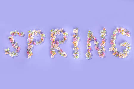 High-colored spring blossom flowers lettering Spring on bright violet very peri color background...