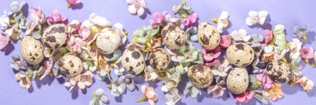 Spring Easter background, with small Easter eggs decoration, spring blossom flowers on violet very...