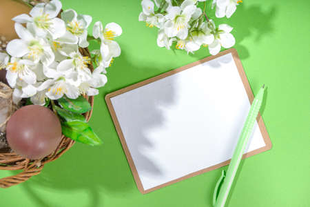 Happy Easter greeting card background, mockup with Easter eggs, spring cherry blooming flowers in...