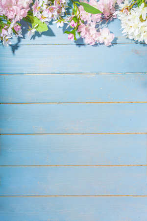 hello spring concept. Spring holidays greeting card simple flatlay background with artificial blossom spring flowers on light blue wooden garden table background frame copy space top viewの写真素材