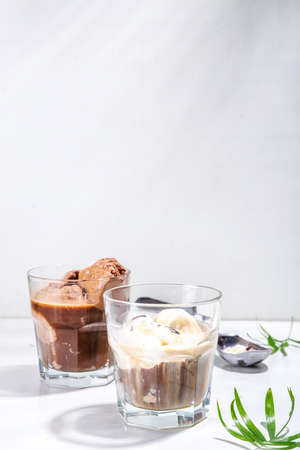 Summer cold cocktail. Amaro floats with chocolate and vanilla ice cream. Affogato Coffee latte with...