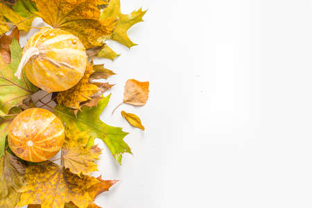 Simple Autumn leaf flatlay, colorful fall dried leaves and pumpkins on white background, top view frame border. Autumn creative composition.の写真素材