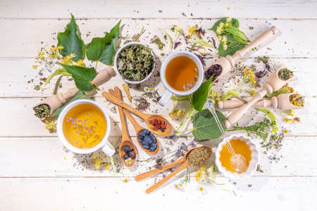 Healthy drinks, harvest herbs and flowers concept. Fresh and dried organic herbal, set of different floral tea variations, with brewed hot tea cups on white wood table copy spaceの写真素材