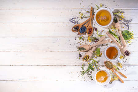 Healthy drinks, harvest herbs and flowers concept. Fresh and dried organic herbal, set of different floral tea variations, with brewed hot tea cups on white wood table copy spaceの写真素材