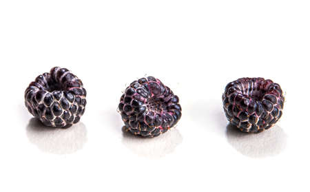 Fresh ripe raw black raspberry, wild sweet berry with mint leaf isolated on white backgroundの写真素材