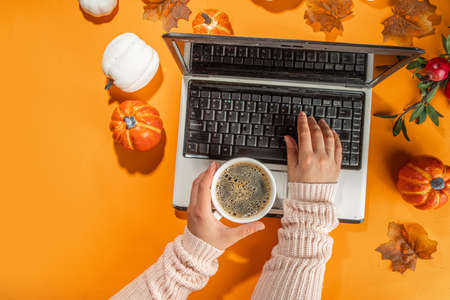 Autumn office work, education flatlay top view copy space. Cozy fall background with laptop, white and orange pumpkins, autumn leaves decor. Woman person hands using a laptop computer from aboveの写真素材