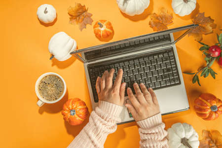 Autumn office work, education flatlay top view copy space. Cozy fall background with laptop, white...