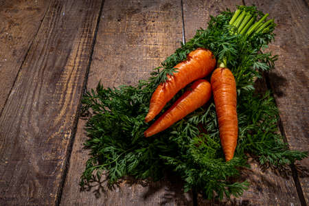 Fresh raw organic carrot with green leaves on rustic wooden background copy spaceの写真素材