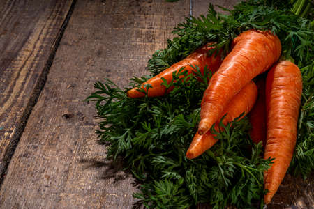 Fresh raw organic carrot with green leaves on rustic wooden background copy space
