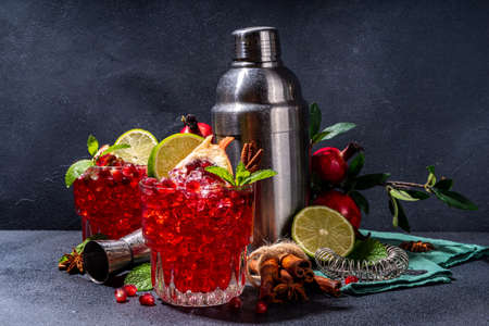 Spicy autumn pomegranate cocktail. Alcohol warming gin drink with pomegranate, lime, cinnamon, mint, autumn winter sangria on dark background copy spaceの写真素材