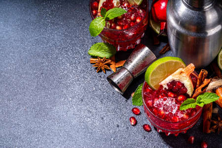 Spicy autumn pomegranate cocktail. Alcohol warming gin drink with pomegranate, lime, cinnamon, mint, autumn winter sangria on dark background copy spaceの写真素材