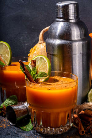 Spicy autumn pumpkin cocktail. Alcohol warming gin drink with pumpkin, lime, cinnamon, mint, autumn winter sangria on dark background copy spaceの写真素材