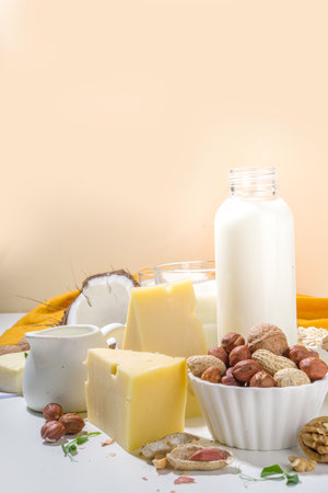 Vegan non-dairy products. Plant-based alternative dairy products â milk, cream, butter, yogurt, cheese, with ingredients - chickpeas, oatmeal, rice, coconut, nutsの写真素材