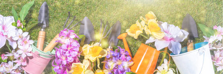 Spring gardening concept. Springtime garden flowers and plants, with garden utensils and tools on...