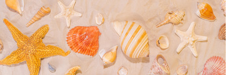 Summer sunny sand flat lay with straw hat, flip flops and seashells, on sea sand background copy spaceの写真素材