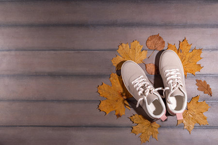 Autumn sport fitness background. Outdoors fall workouts concept. Running sneakers, dumbbell barbell...