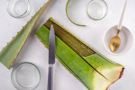 Aloe Vera Making - Homemade Organic Raw Aloe Vera Cosmetics, Drinks and Food. Women's hands in the pic dissect and cut an aloe leaf, making, Squeezing  gel and juiceの写真素材