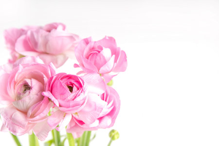 Ranunculus, willow, mimosa and gypsophila spring flowers bouquet on white background. Spring holiday...
