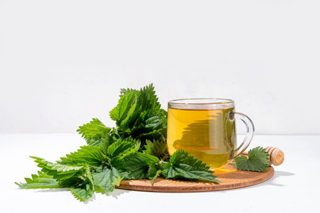 Nettle Tea hot plant drink in transparent glass cup. Organic natural herbal tea without caffeine,...