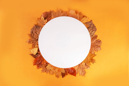 Minimal sparse autumn background with fall leaves top view copy spaceの写真素材