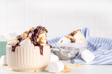 Portion bowl of smores ice cream with roasted marshmallow, chocolate and graham cracker crumbs, tasty winter Christmas S'mores gelatoの写真素材