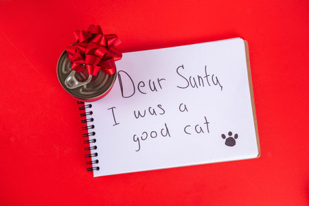 Pets Christmas holiday shopping and gifts background with toys, accessories, food, treats for cats...