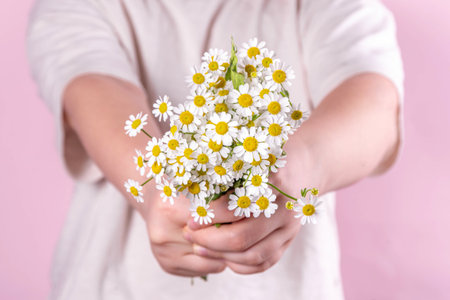 Birthday, Mother's Day international holiday greeting card. Child's hands holding a bouquet with wild flowers daisies and a gift box with a ribbon, on a pink background  copy spaceの写真素材