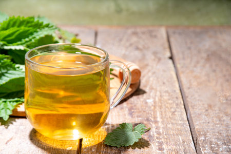 Nettle Tea hot plant drink in transparent glass cup. Organic natural herbal tea without caffeine, made with organic raw nettle leaves. Alternative herbal medicine. Stinging nettles, urtica.の写真素材