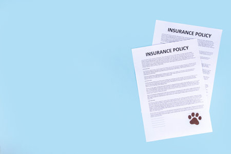 Pet health life Insurance, medical coverage concept. Insurance contract with cat paw signature and cute striped tabby cat. Flat lay mock-up for cats and dogs for insurance agency, medical servicesの写真素材