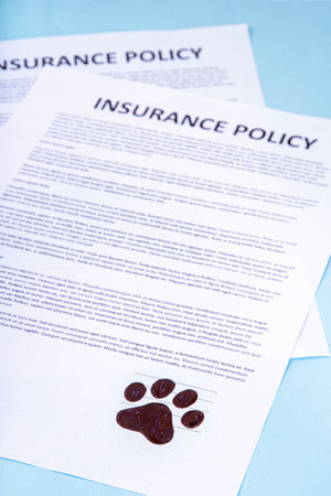 Pet health life Insurance, medical coverage concept. Insurance contract with cat paw signature and cute striped tabby cat. Flat lay mock-up for cats and dogs for insurance agency, medical servicesの写真素材