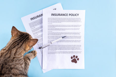 Pet health life Insurance, medical coverage concept. Insurance contract with cat paw signature and cute striped tabby cat. Flat lay mock-up for cats and dogs for insurance agency, medical servicesの写真素材